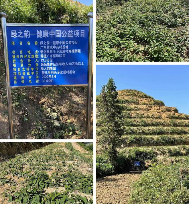绿之韵胡国安陪同市人大常委会副主任李平一行赴浏阳调研农业农村工作