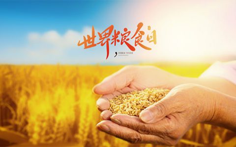 和治友德|世界粮食日：珍惜粮食 从自己做起