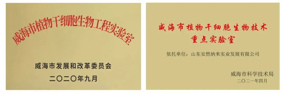 安然公司被国家知识产权局评定为“国家知识产权优势企业”