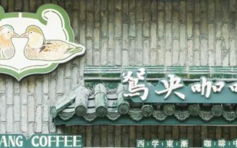 咖啡 边学新茶饮边内卷