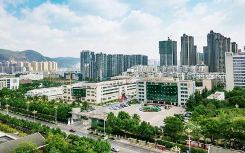 中国黑茶，乡村振兴丨理想华莱全“心”出发