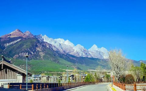 向壮丽雪山出发 2022完美丽江研讨会精彩继续