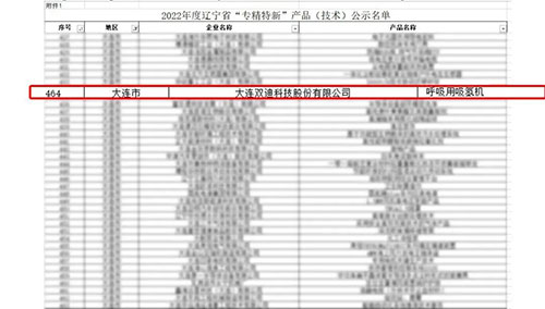 双迪2022年终总结报告书（三）|荣誉加冕