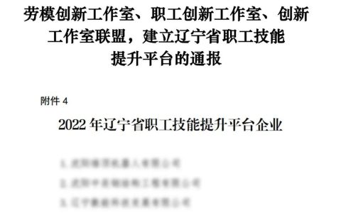 双迪：强化创新示范引领 造就时代“新工匠”