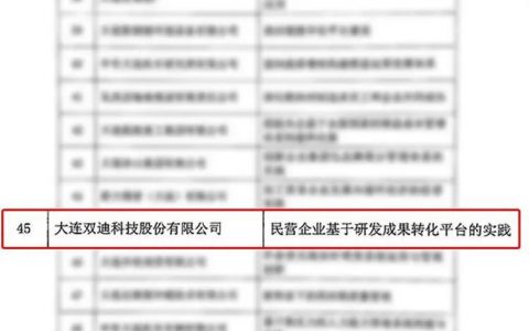 双迪 | 2022年终总结报告书（三）| 荣誉加冕，扬帆正当时