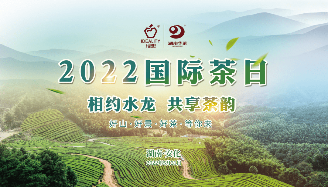 回首望征程，拼搏写年华！理想华莱2022年大事记