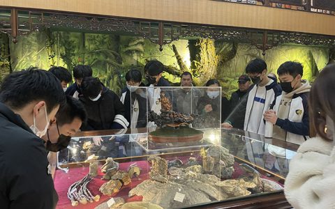 南通思德茀外国语学校师生在安惠园开展社会综合实践活动