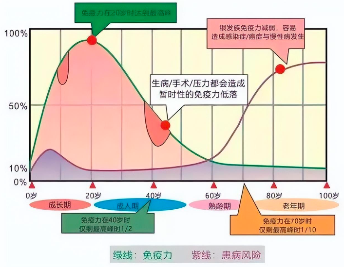 核苷酸立大功？20名运动员摄入30天，白细胞介素等免疫指标出变化