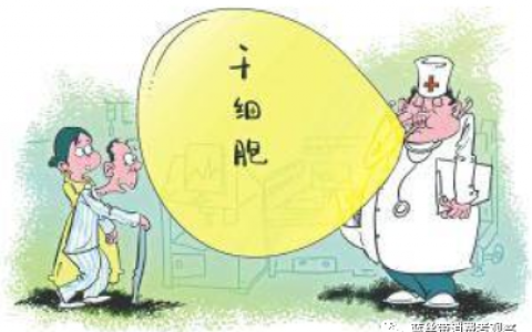 青春源干细胞技术有限公司被列入经营异常，公司及法人被法院限制高消费