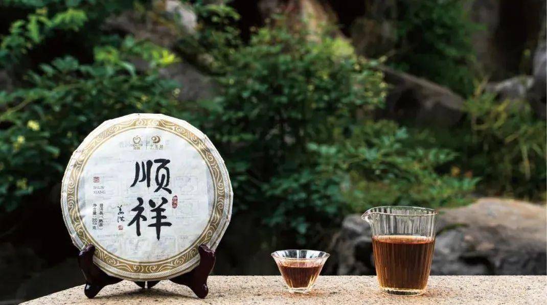 理想华莱：万里茶路漫漫，让世界品味中国茶香