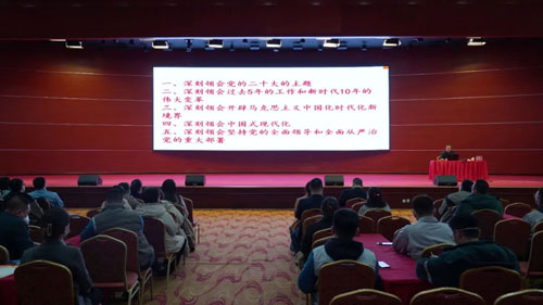 深學篤行二十大精神|雙迪開展專題黨課學習