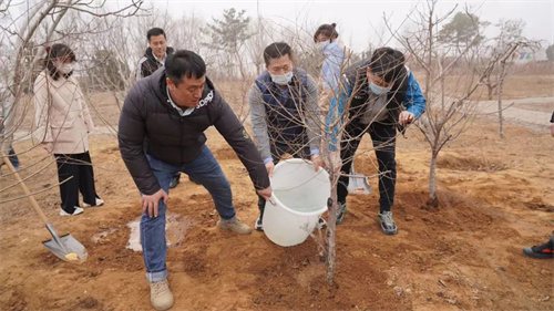双迪党支部在“党员初心林”组织开展植树活动
