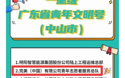 完美志愿者服务总队获1星级广东省青年文明号