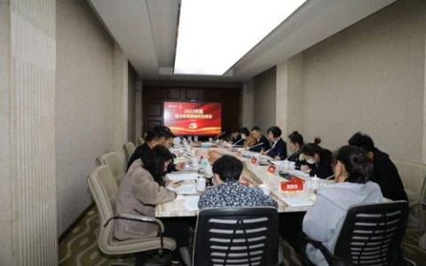 隆力奇党委召开2022年度党委组织生活会
