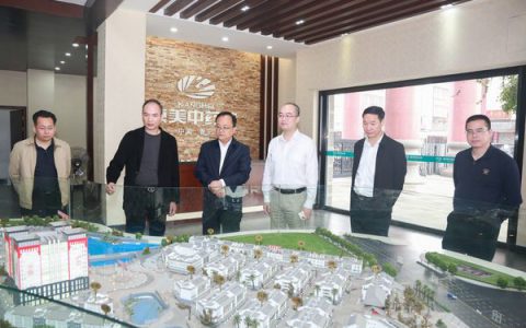 揭阳市政协主席崔建军一行调研普宁康美中药城