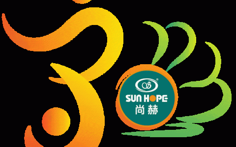 尚赫公益30年：五维战略深度解析