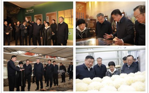 江苏省政协副主席周岚在安惠调研