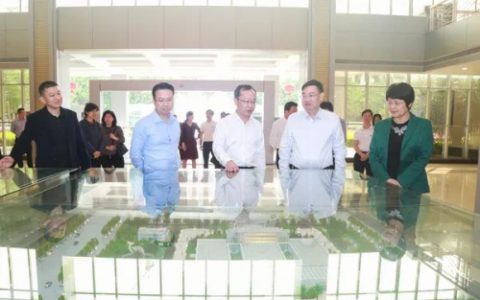 广东省药监局副局长严振一行调研康美药业