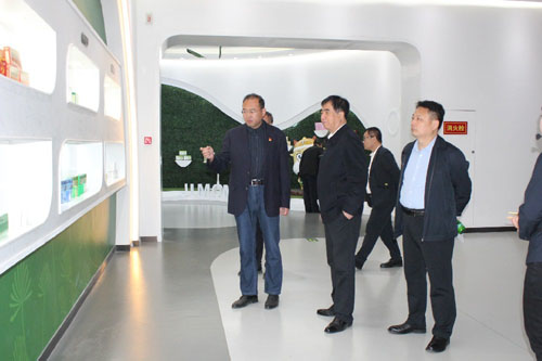 中国国际经济技术合作促进会到金木集团调研