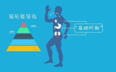 自然阳光代谢管理以肠道微生态为焦点，实现整体健康