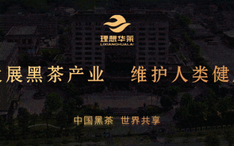 理想华莱全新标识重磅发布