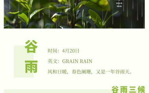 理想华莱 | 谷雨时节采茶忙，理想华莱茶满园