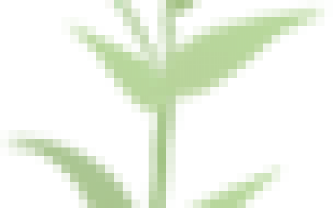 安然技术篇 | 创领植物干细胞技术，实现珍稀资源从克到吨的产能飞跃！