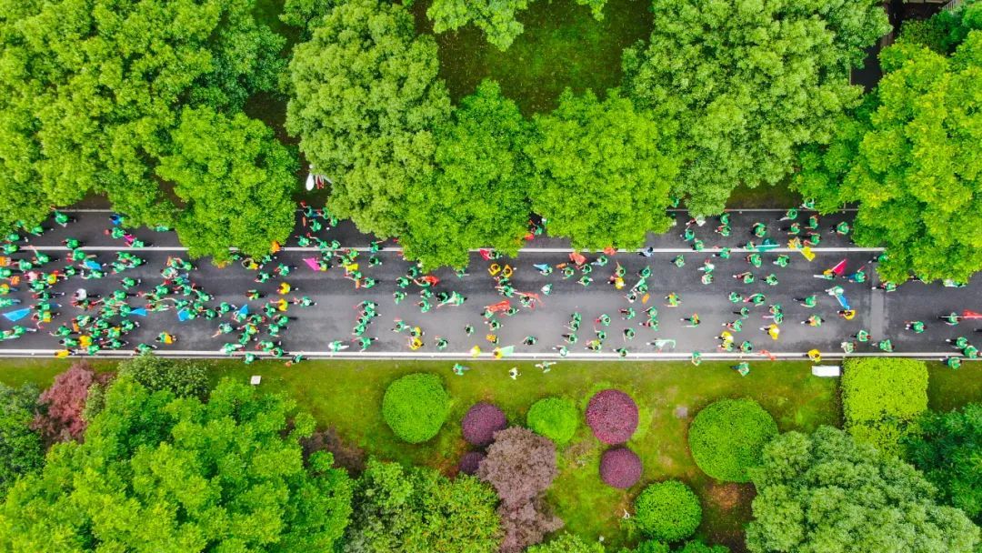 绿之韵：2023健康中国——绿跑大型公益计划先导片《引力》发布