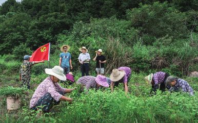 康恩贝股份2022年ESG报告发布