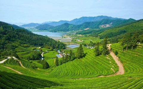 尚赫绿色永续，我们与地球同呼吸