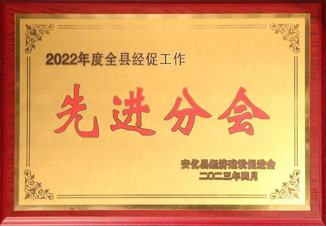 绿之韵集团胡国安董事长获评安化“全县经促工作先进个人”