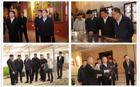 蛟河市市长王威带队考察安惠生物科技园