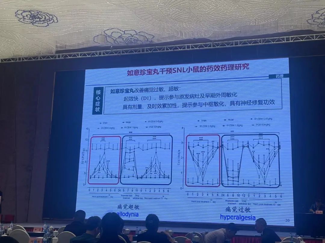 金诃藏药神经病理性疼痛干预研究亮相中国疼痛科建设高峰论坛