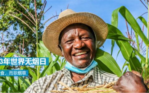 和治友德:为了您和家人健康 不要吸烟要熄烟
