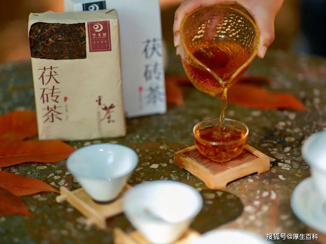 茯茶飘香丨走进理想华莱安化黑茶烤房