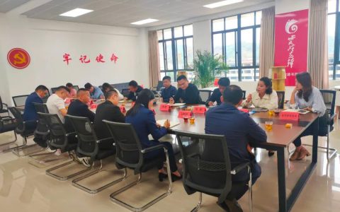 武咏健区长带队到理想华莱开展现场办公会