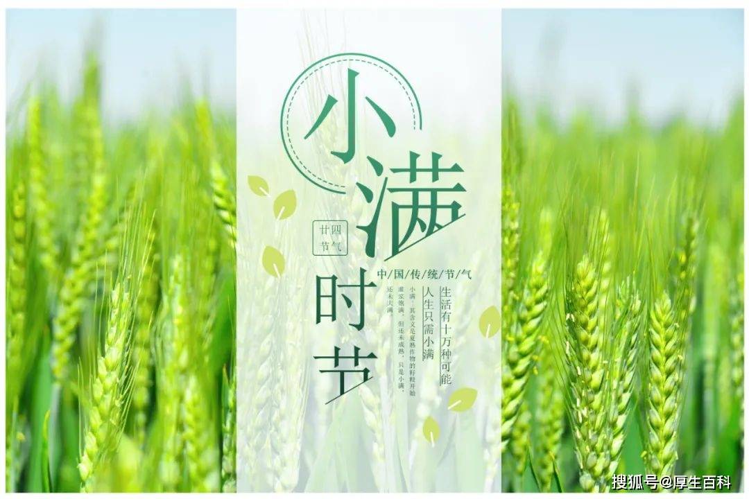 国际茶日 | 理想华莱助力乡村振兴，打造“中国黑茶”世界名片