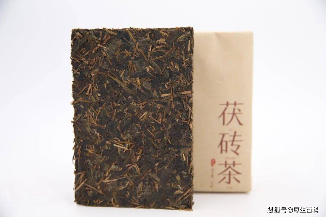 茯茶飘香丨走进理想华莱安化黑茶烤房