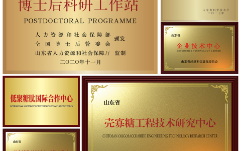 纵览山东卫康品牌成长之路 唱响中国品牌