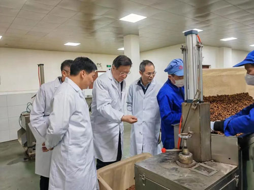 康恩贝股份领导班子分赴基层开展调查研究