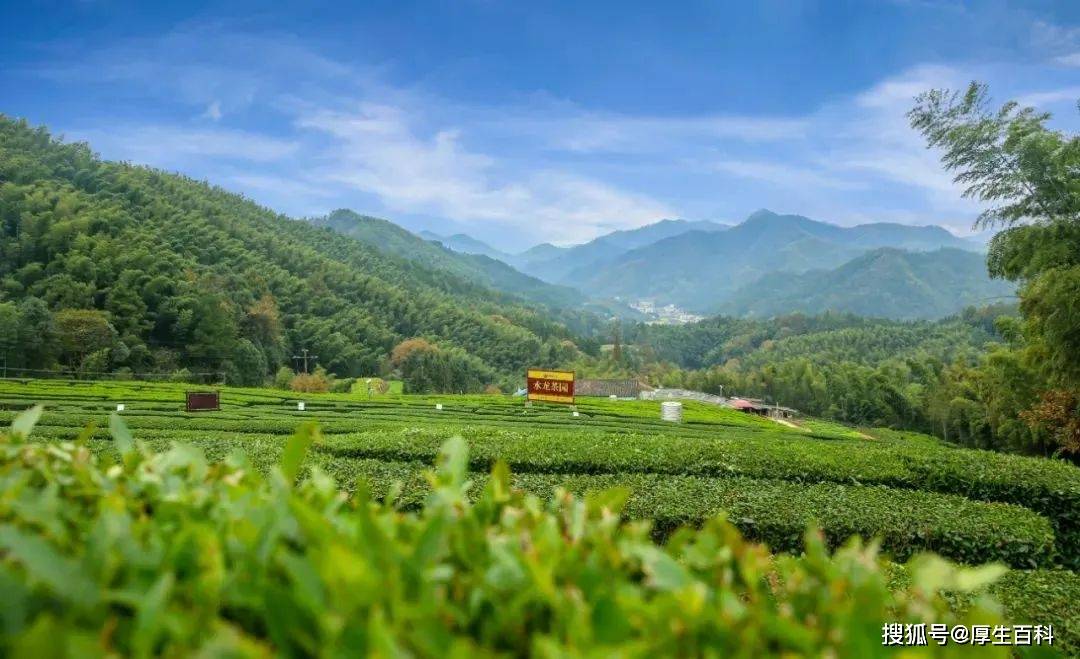 思茅区市场监管局食品安全系列培训会议在理想华莱云南营销中心召开