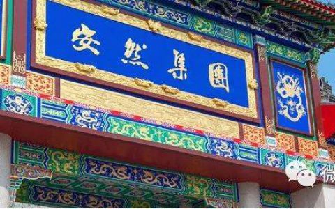 科创领航 安然焕发新势能