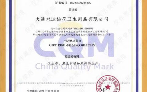 双迪桃花公司顺利通过三大体系认证