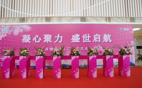 双迪桃花工厂投产仪式隆重举行