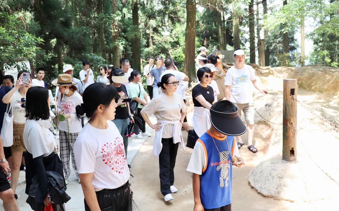 绿之韵集团党委开展井冈山红色之旅