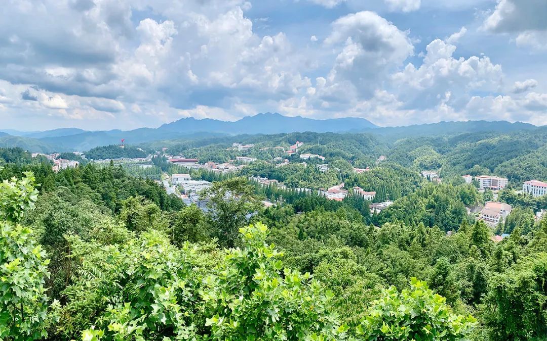 绿之韵集团党委开展井冈山红色之旅
