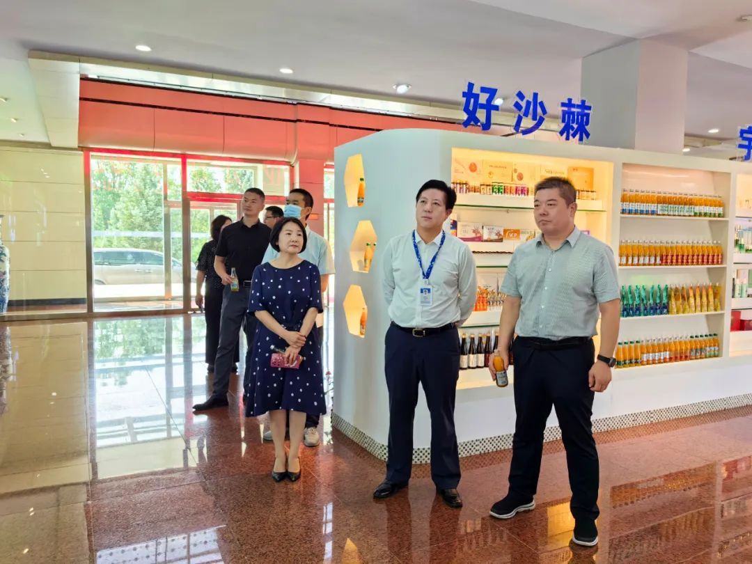 自治区党委外事办公室副主任刘玉彪等一行调研内蒙古宇航人公司