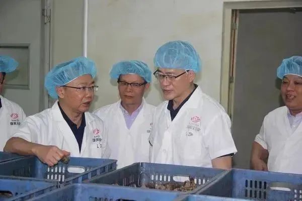 广药集团党委副书记、副董事长、总经理杨军调研康美药业在亳司属企业