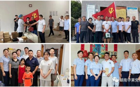 华莱党委开展8月份主题党日活动
