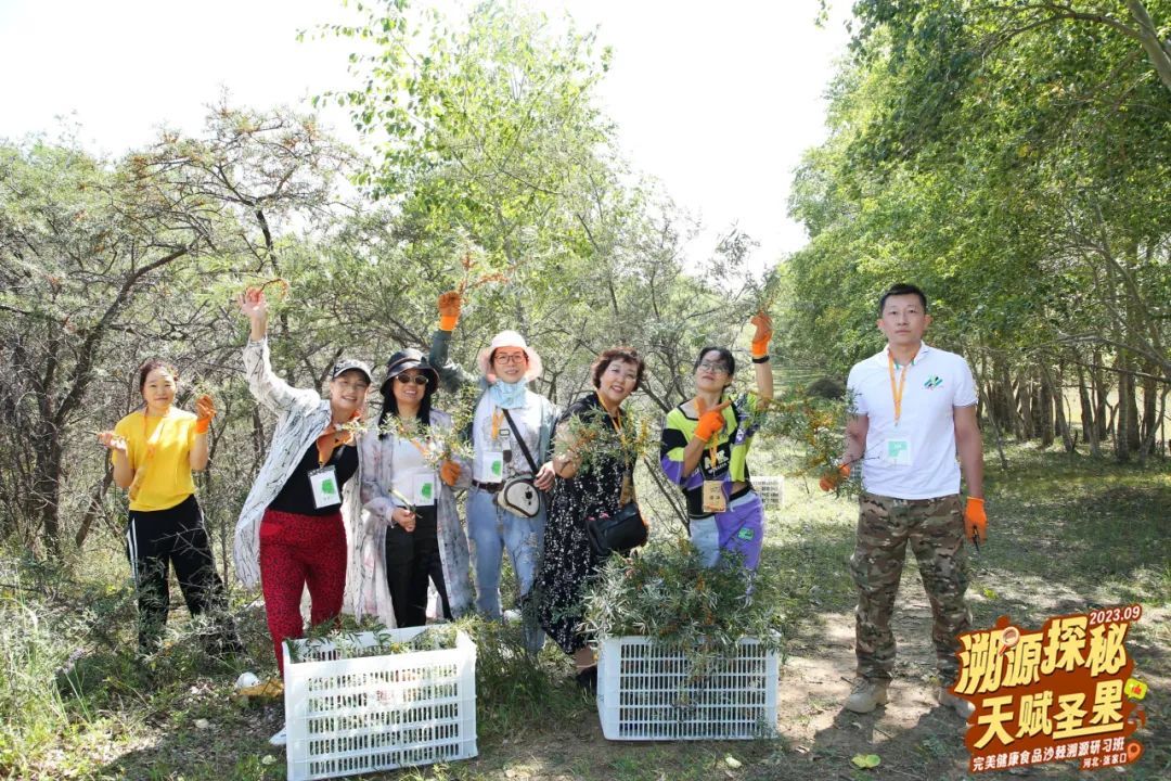 完美健康食品沙棘溯源研习班火热进行中